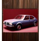 Металлическая табличка Alfa Romeo Alfasud (901) 006